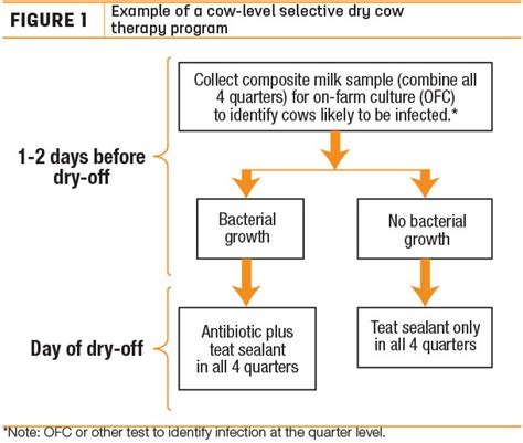 ubosturos|Ubrostar antibiotic dry cow therapy.